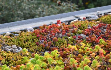 the cost of Heddington green roof installation