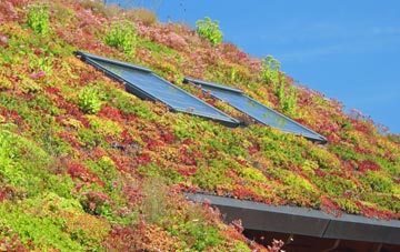 Heddington living roof systems